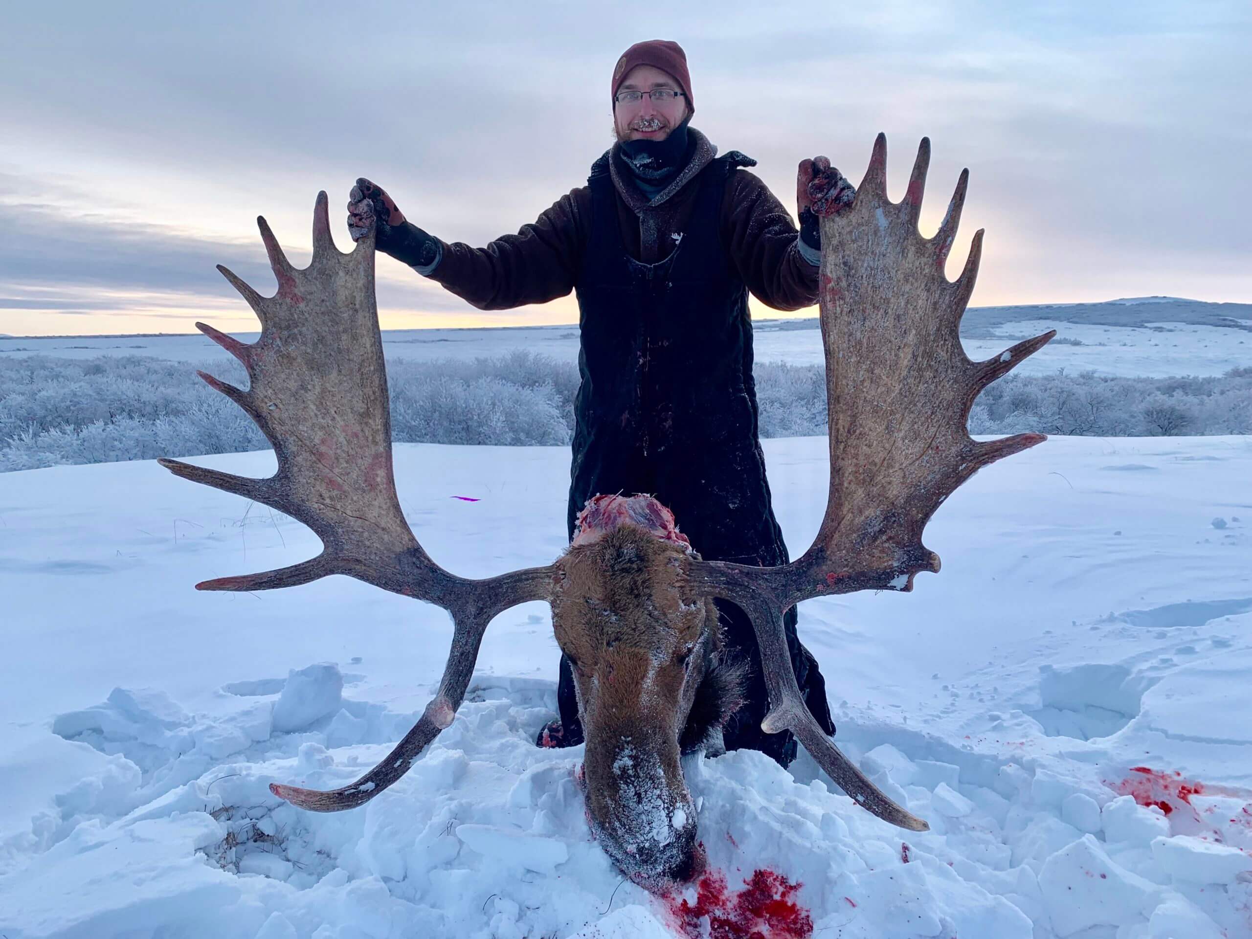 ALASKA/YUKON Moose Hunt (winter)